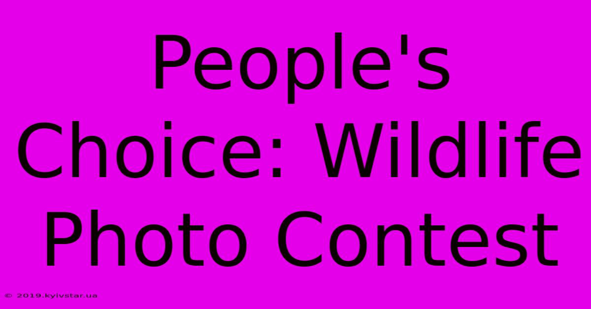 People's Choice: Wildlife Photo Contest