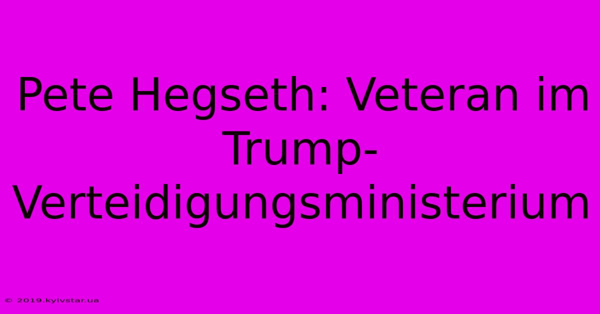 Pete Hegseth: Veteran Im Trump-Verteidigungsministerium