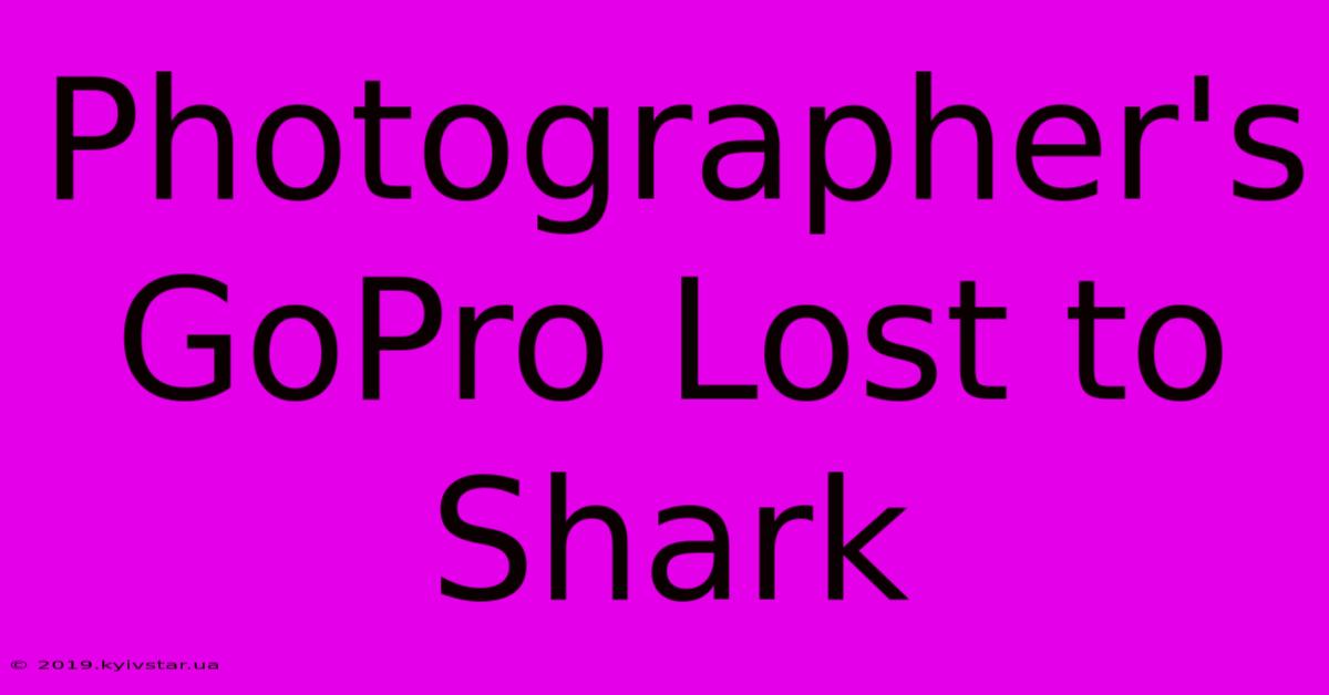 Photographer's GoPro Lost To Shark