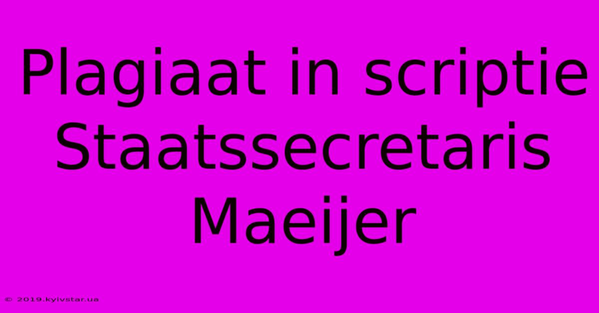 Plagiaat In Scriptie Staatssecretaris Maeijer