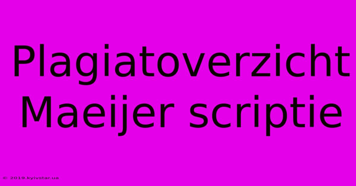 Plagiatoverzicht Maeijer Scriptie