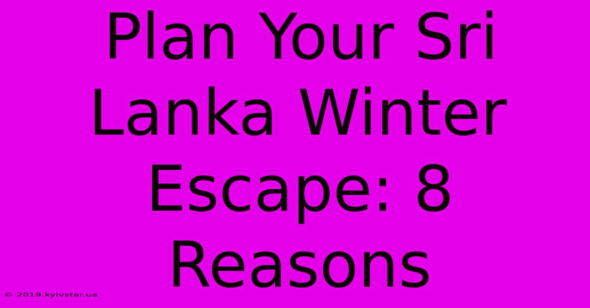 Plan Your Sri Lanka Winter Escape: 8 Reasons