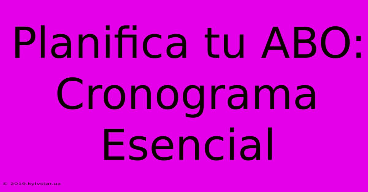 Planifica Tu ABO: Cronograma Esencial