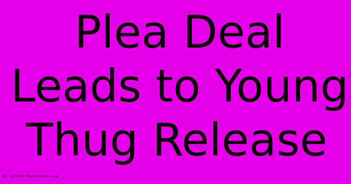 Plea Deal Leads To Young Thug Release 