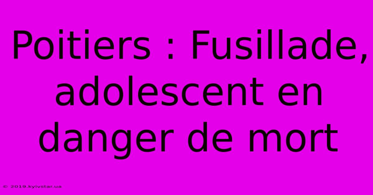 Poitiers : Fusillade, Adolescent En Danger De Mort 