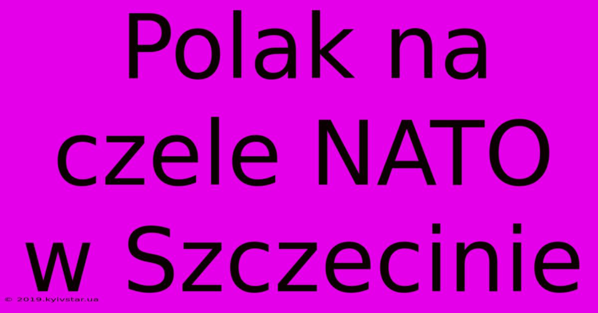 Polak Na Czele NATO W Szczecinie