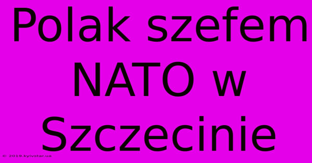 Polak Szefem NATO W Szczecinie