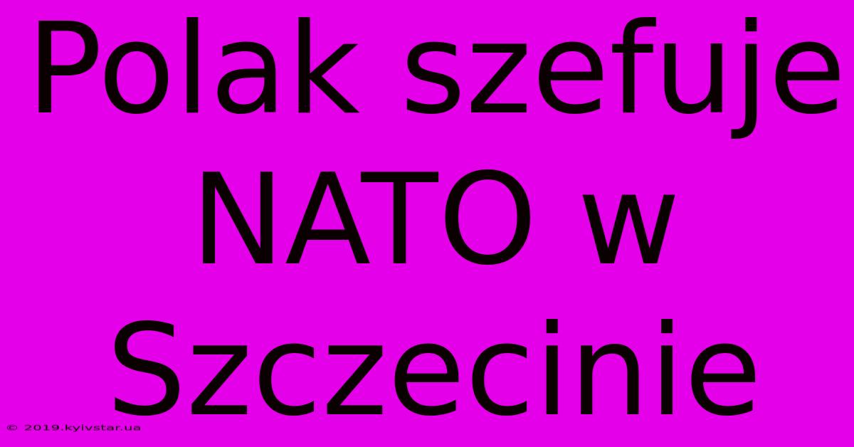 Polak Szefuje NATO W Szczecinie