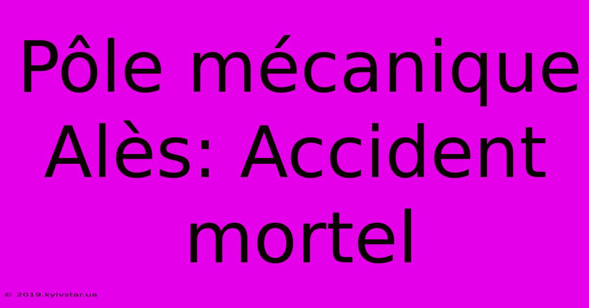 Pôle Mécanique Alès: Accident Mortel