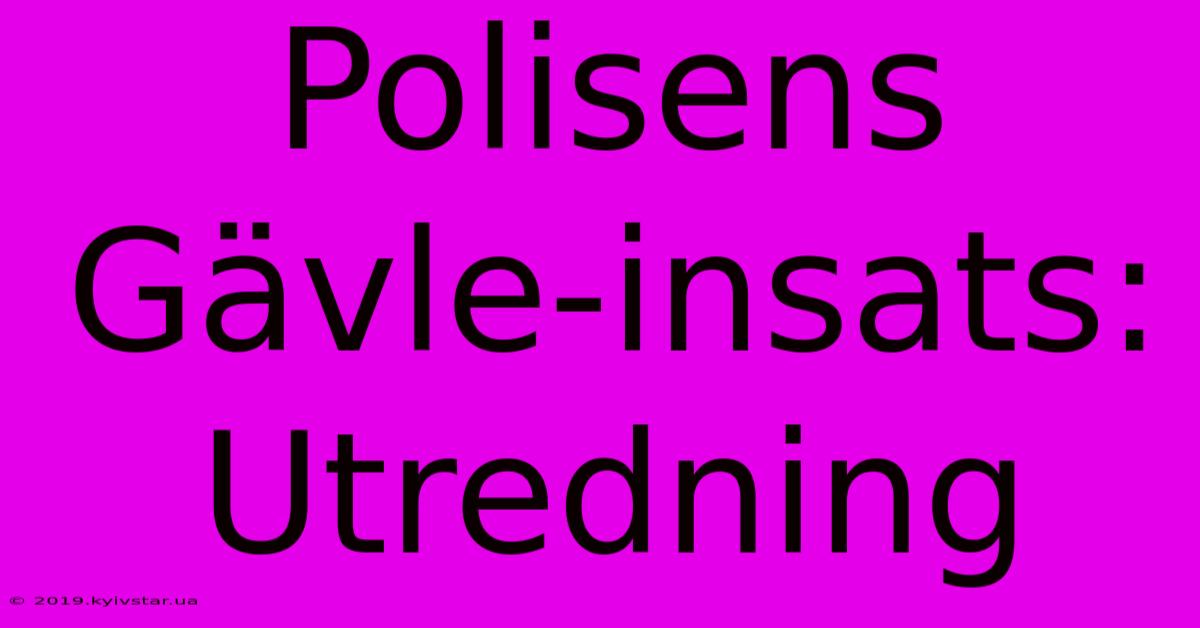 Polisens Gävle-insats: Utredning