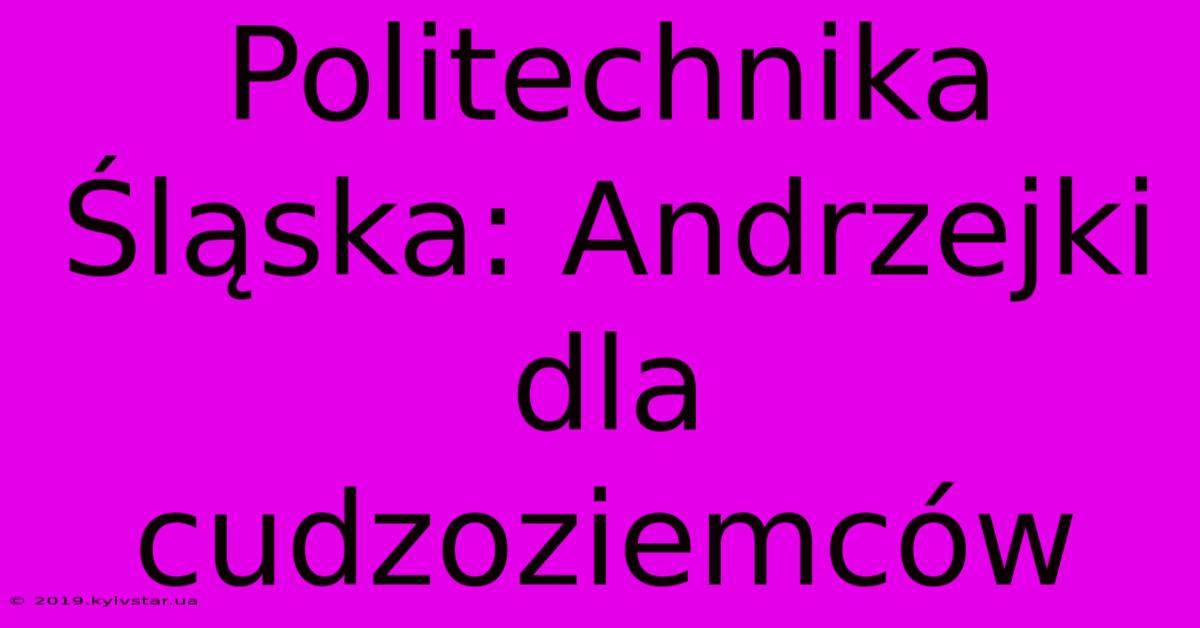 Politechnika Śląska: Andrzejki Dla Cudzoziemców