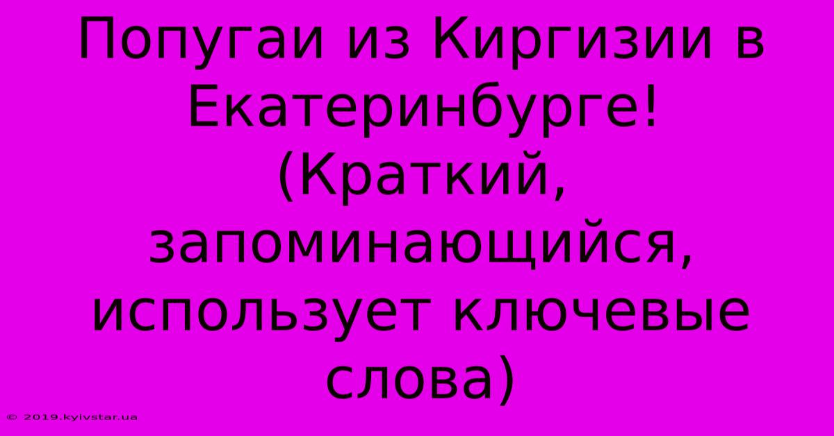 Попугаи Из Киргизии В Екатеринбурге!  (Краткий, Запоминающийся, Использует Ключевые Слова)