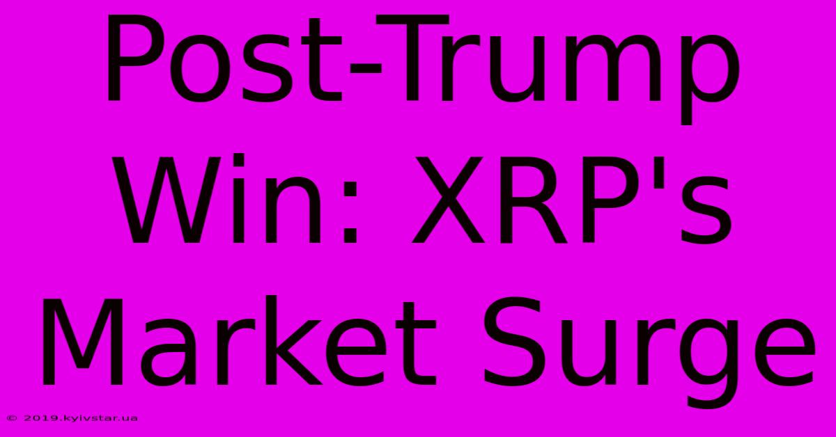 Post-Trump Win: XRP's Market Surge