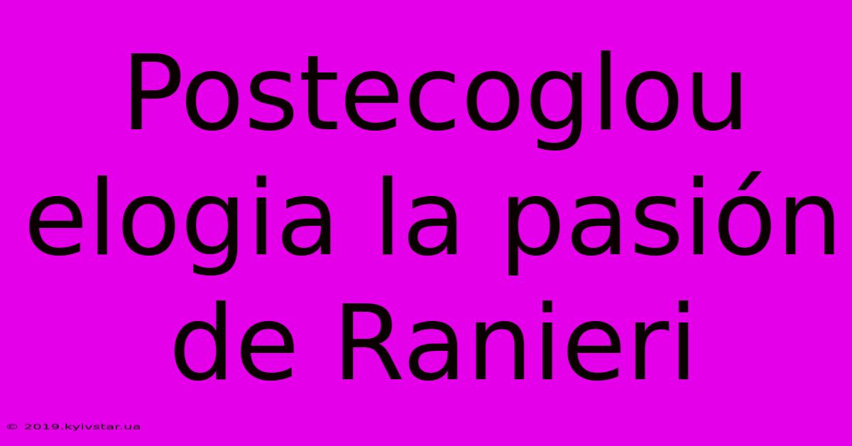 Postecoglou Elogia La Pasión De Ranieri