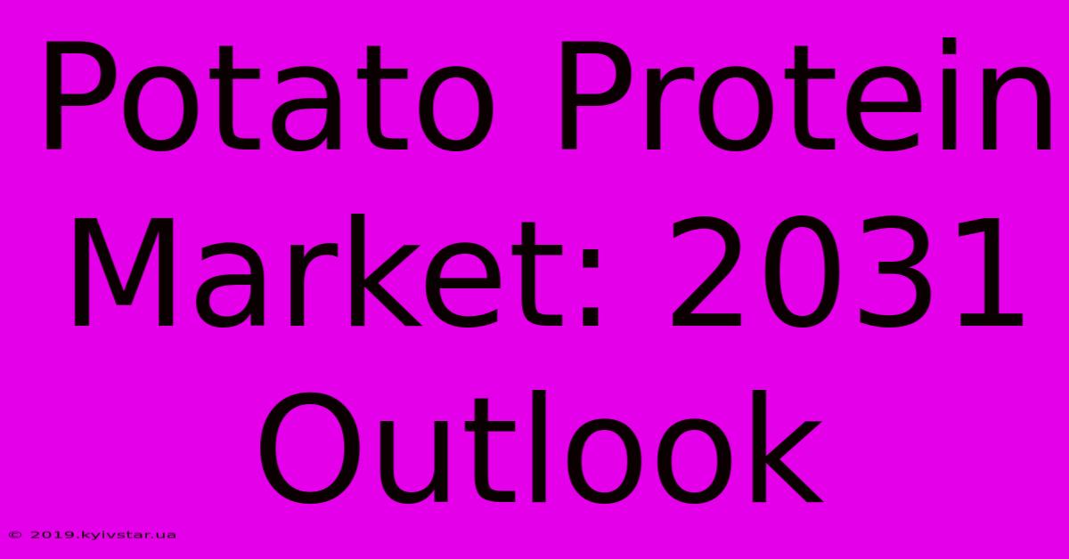 Potato Protein Market: 2031 Outlook