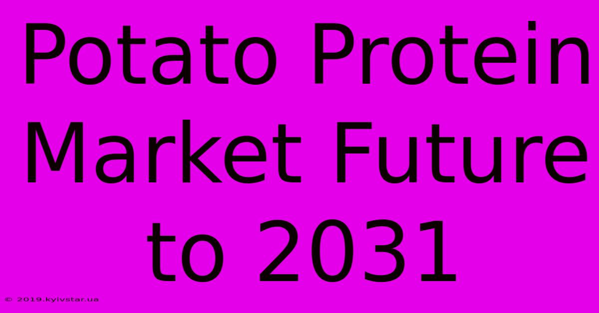 Potato Protein Market Future To 2031