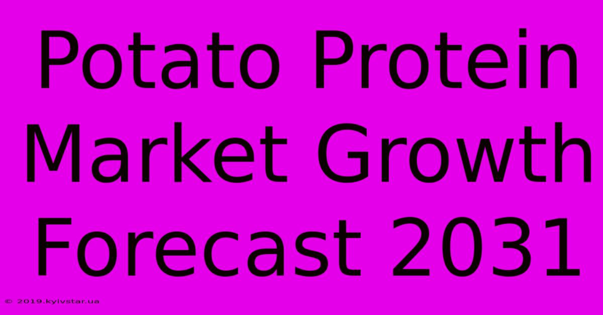 Potato Protein Market Growth Forecast 2031