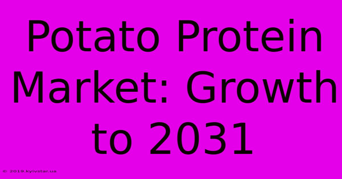 Potato Protein Market: Growth To 2031