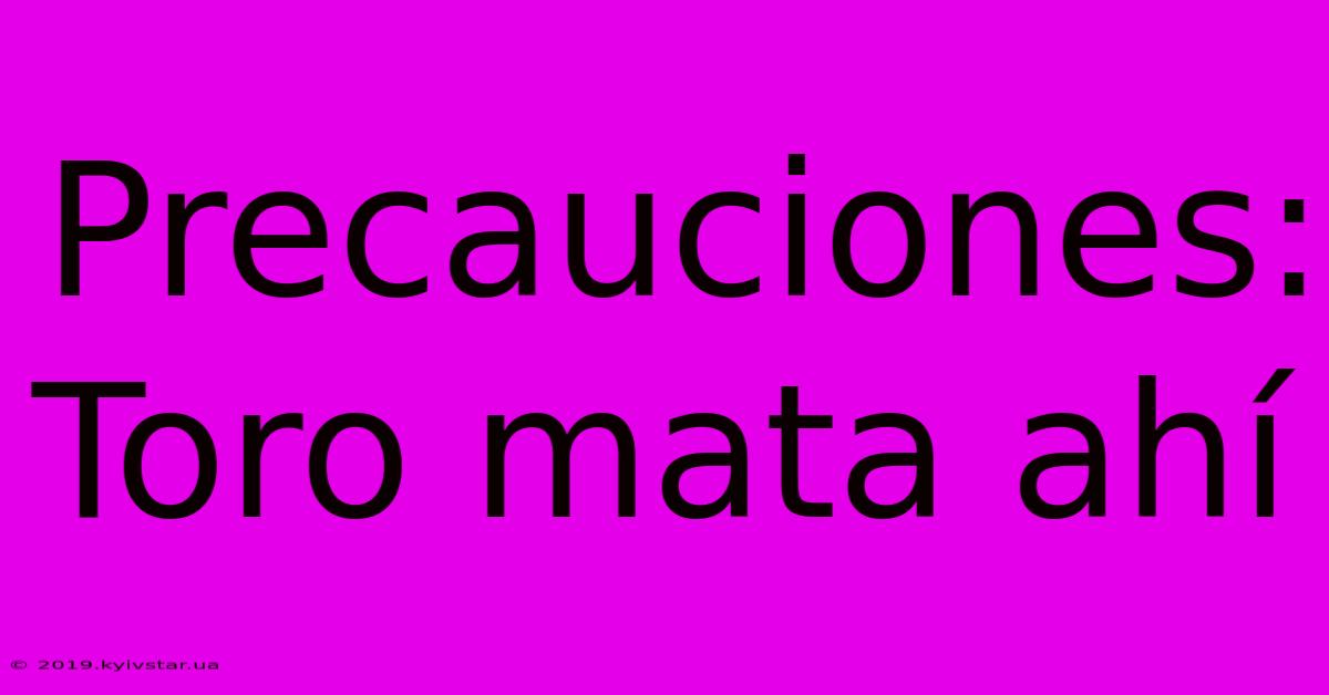 Precauciones: Toro Mata Ahí