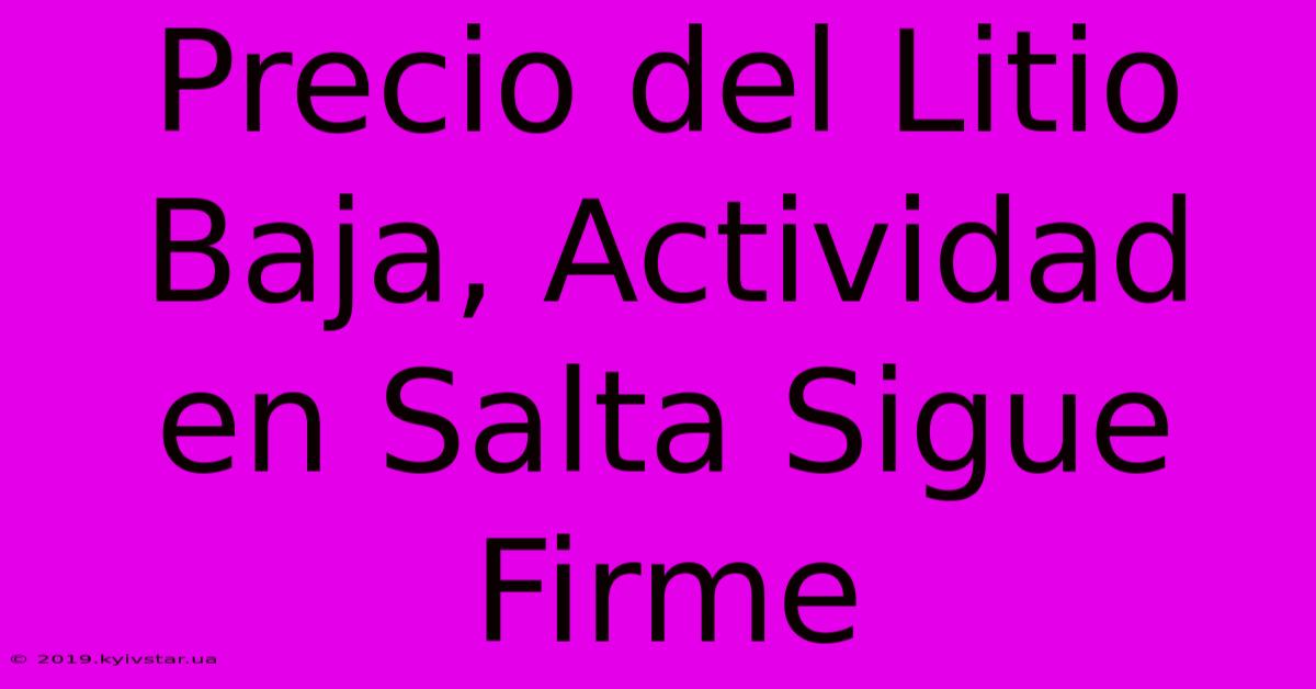 Precio Del Litio Baja, Actividad En Salta Sigue Firme