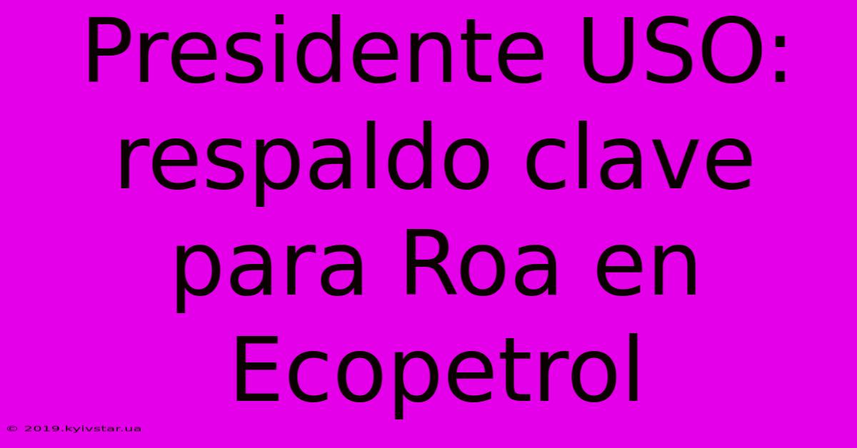 Presidente USO: Respaldo Clave Para Roa En Ecopetrol