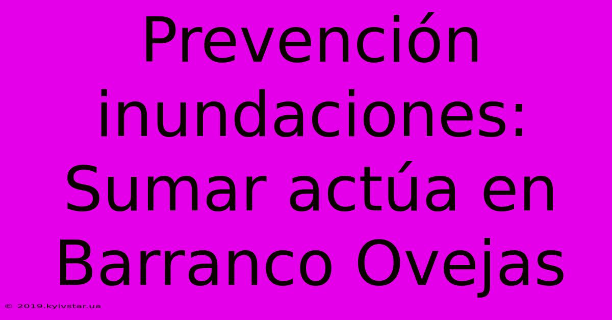 Prevención Inundaciones: Sumar Actúa En Barranco Ovejas