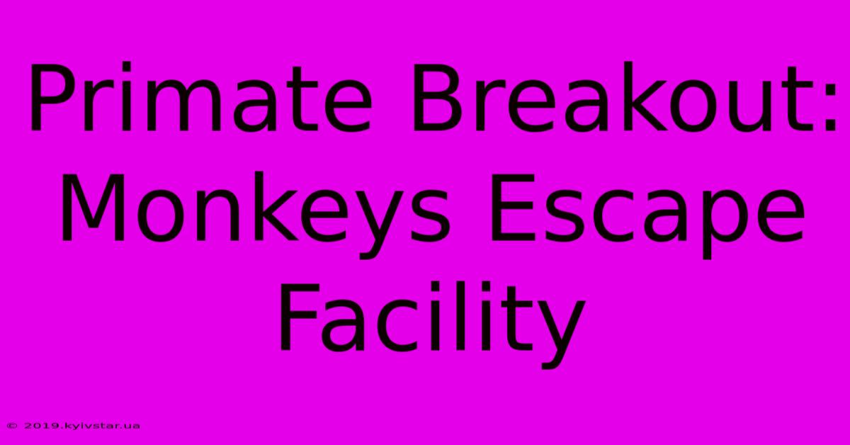 Primate Breakout: Monkeys Escape Facility