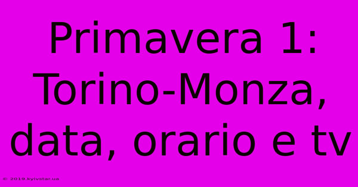 Primavera 1: Torino-Monza, Data, Orario E Tv