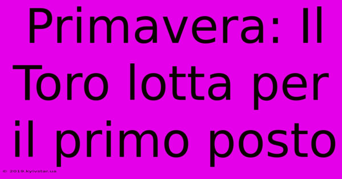 Primavera: Il Toro Lotta Per Il Primo Posto