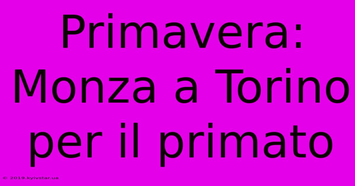 Primavera: Monza A Torino Per Il Primato