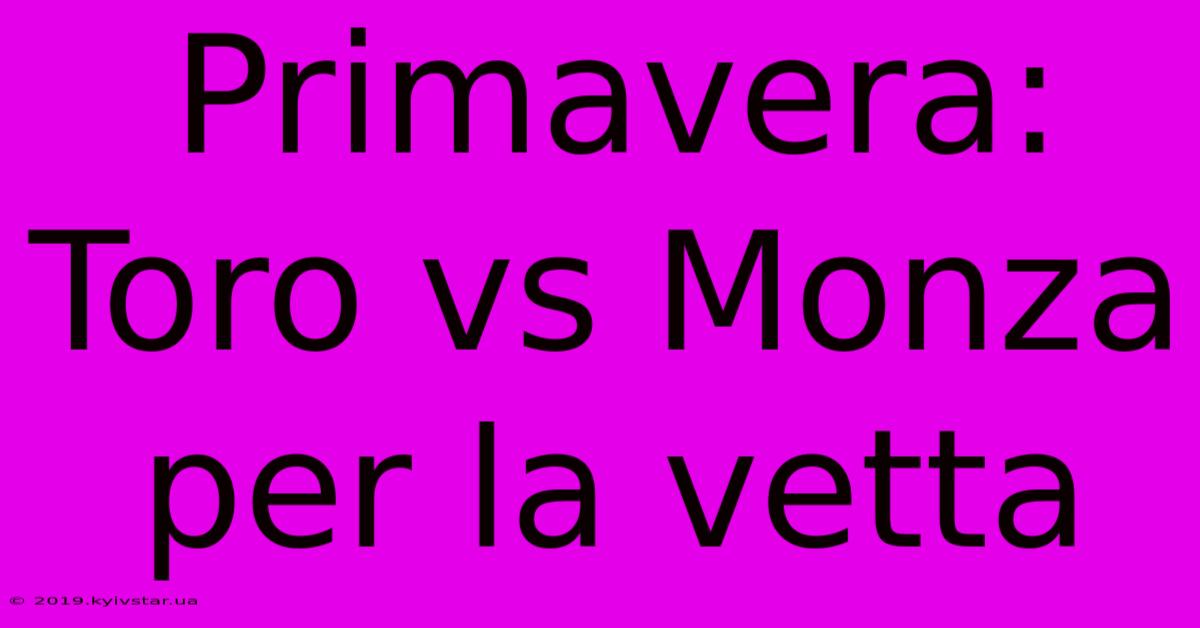 Primavera: Toro Vs Monza Per La Vetta