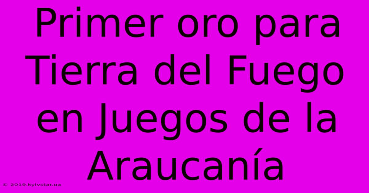 Primer Oro Para Tierra Del Fuego En Juegos De La Araucanía