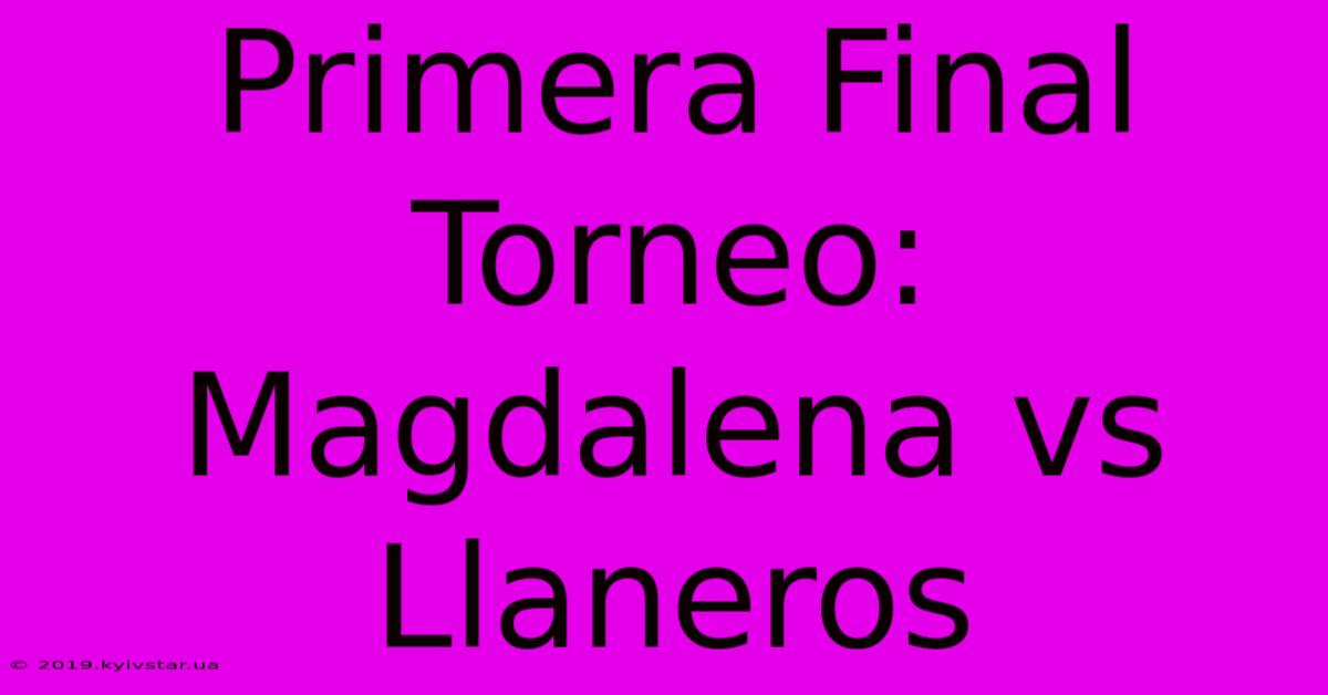 Primera Final Torneo: Magdalena Vs Llaneros