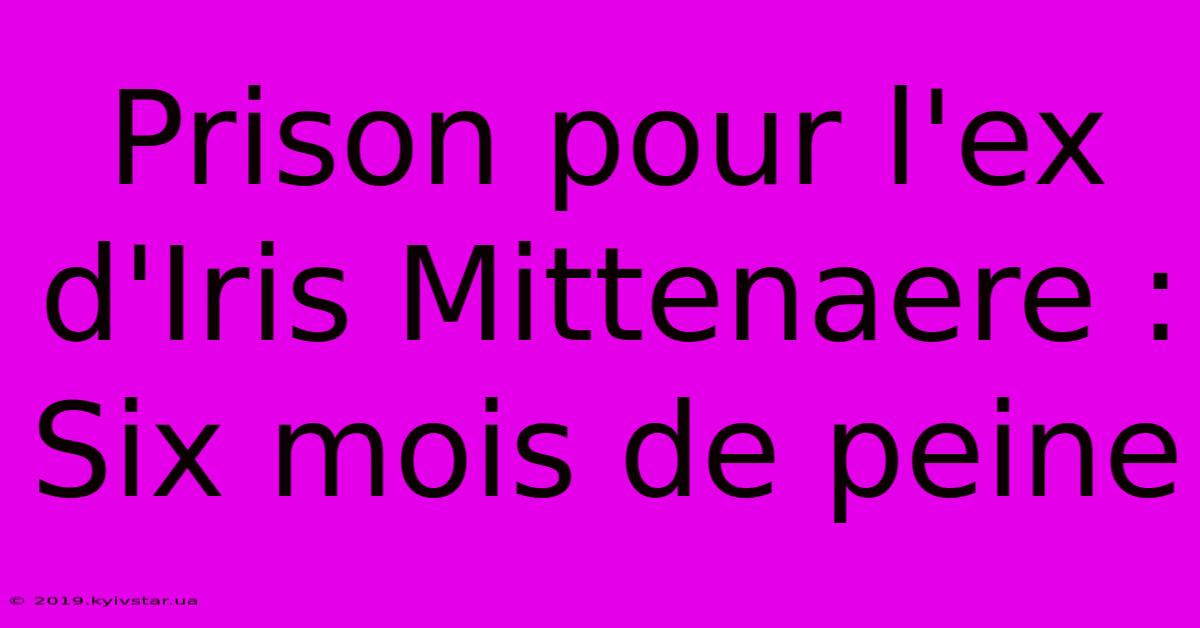 Prison Pour L'ex D'Iris Mittenaere : Six Mois De Peine 