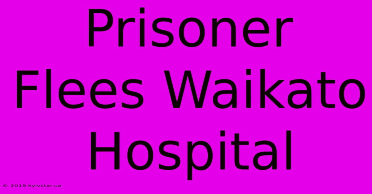 Prisoner Flees Waikato Hospital