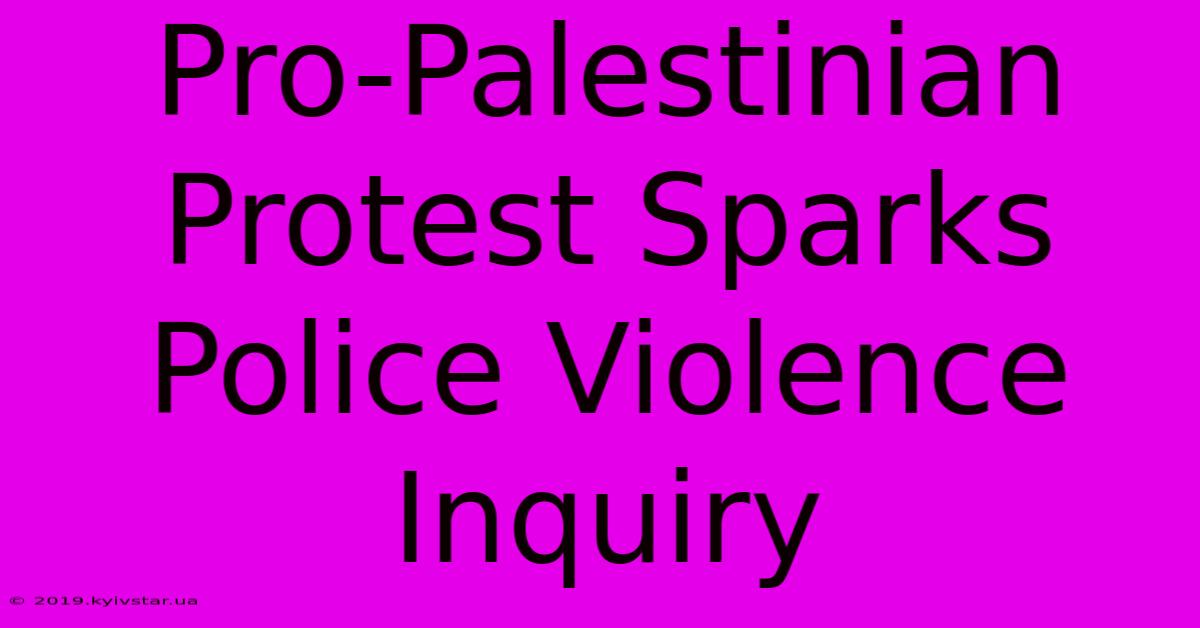 Pro-Palestinian Protest Sparks Police Violence Inquiry