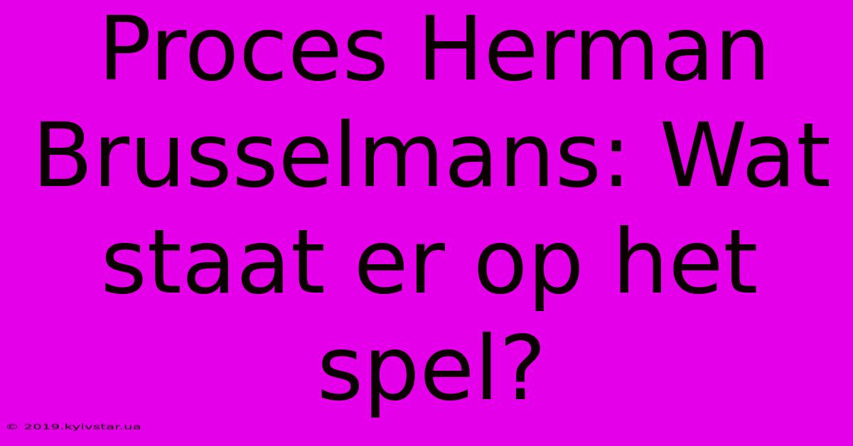 Proces Herman Brusselmans: Wat Staat Er Op Het Spel?