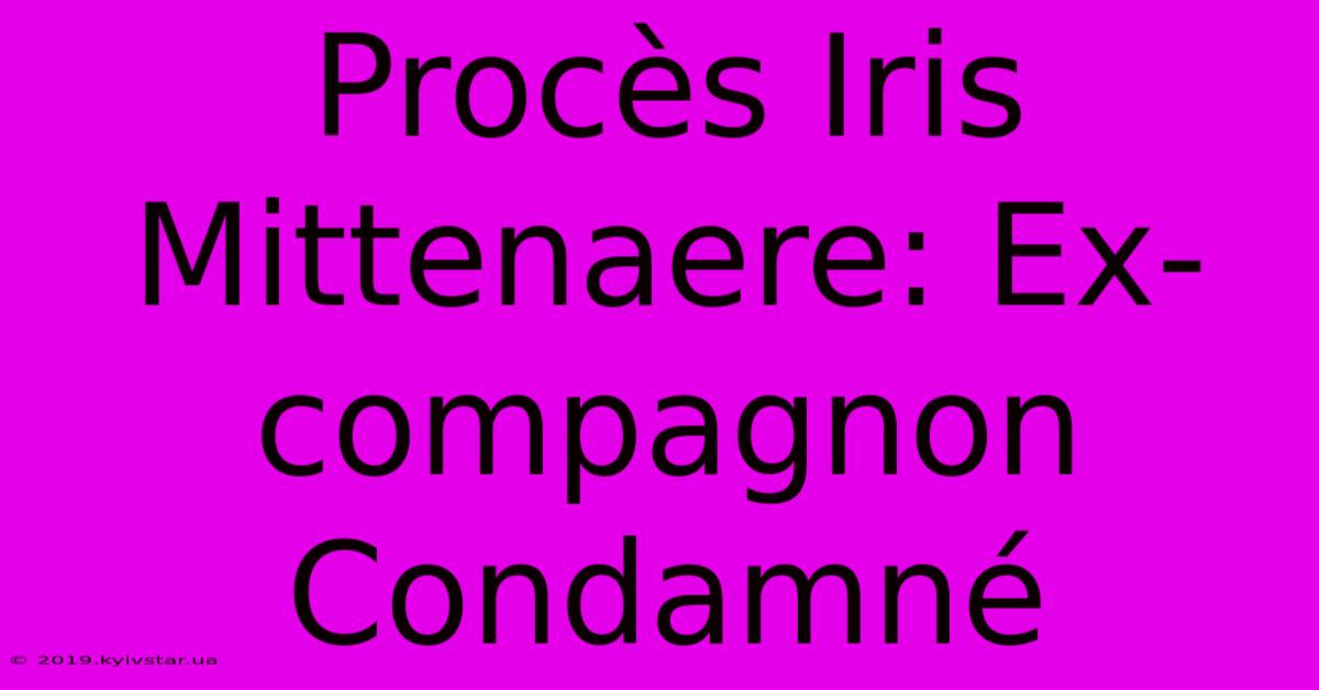 Procès Iris Mittenaere: Ex-compagnon Condamné