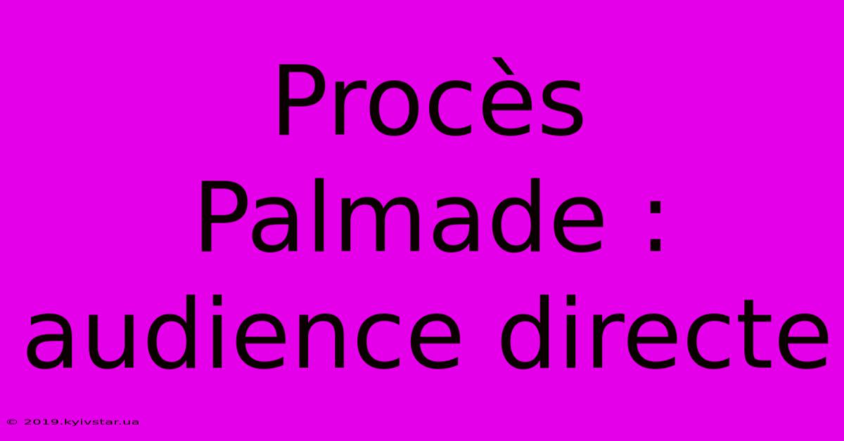 Procès Palmade : Audience Directe