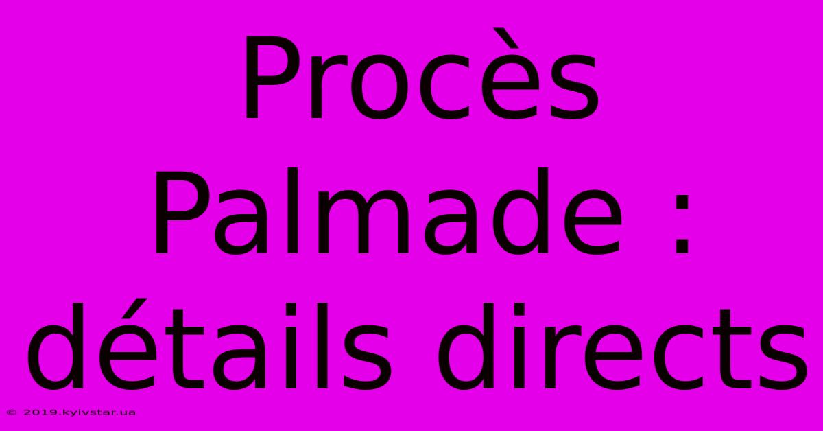 Procès Palmade : Détails Directs