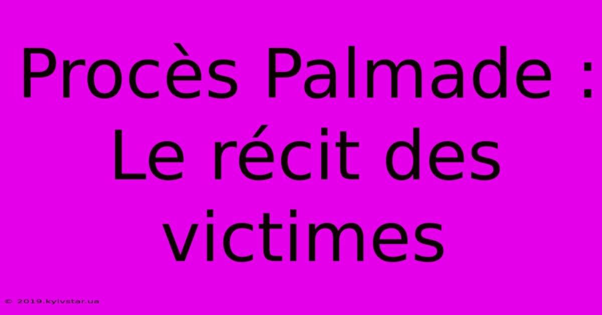 Procès Palmade : Le Récit Des Victimes