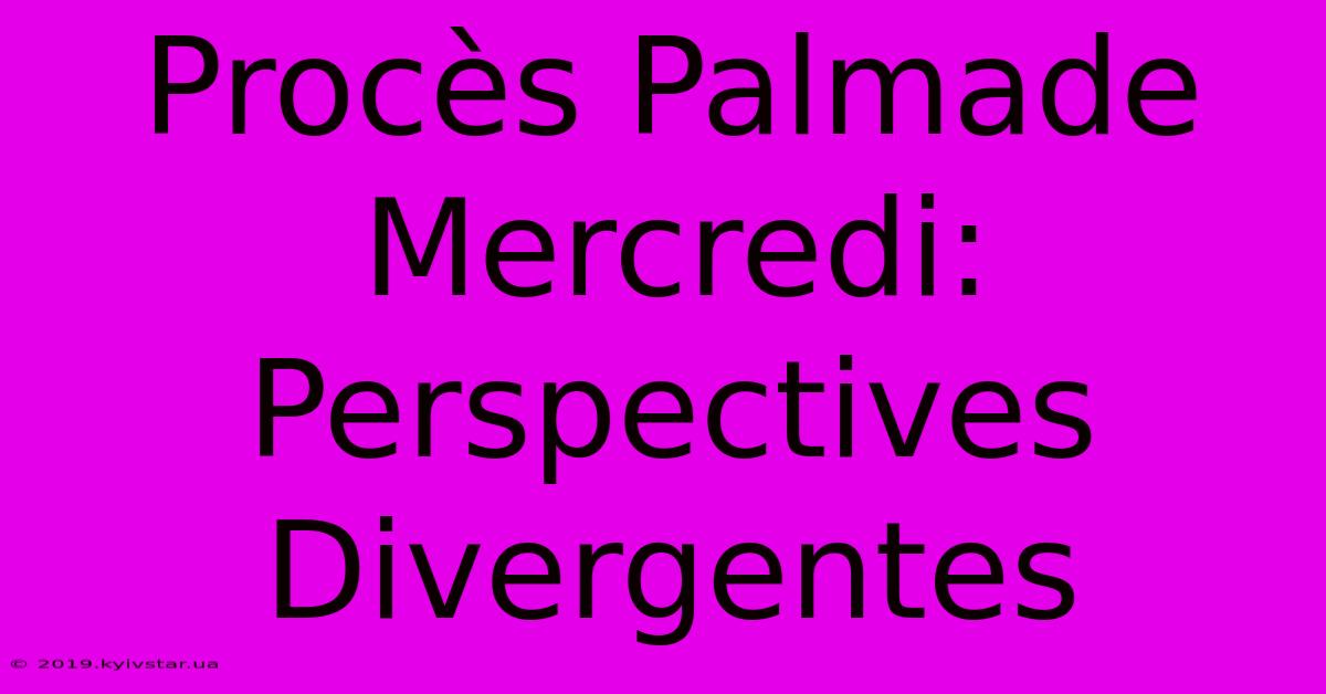 Procès Palmade Mercredi: Perspectives Divergentes