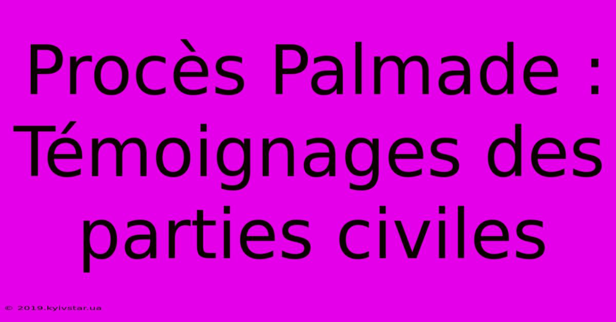 Procès Palmade : Témoignages Des Parties Civiles