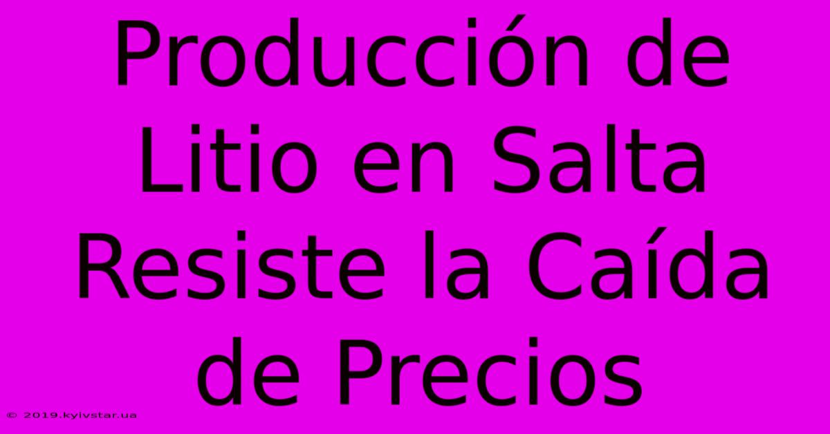 Producción De Litio En Salta Resiste La Caída De Precios