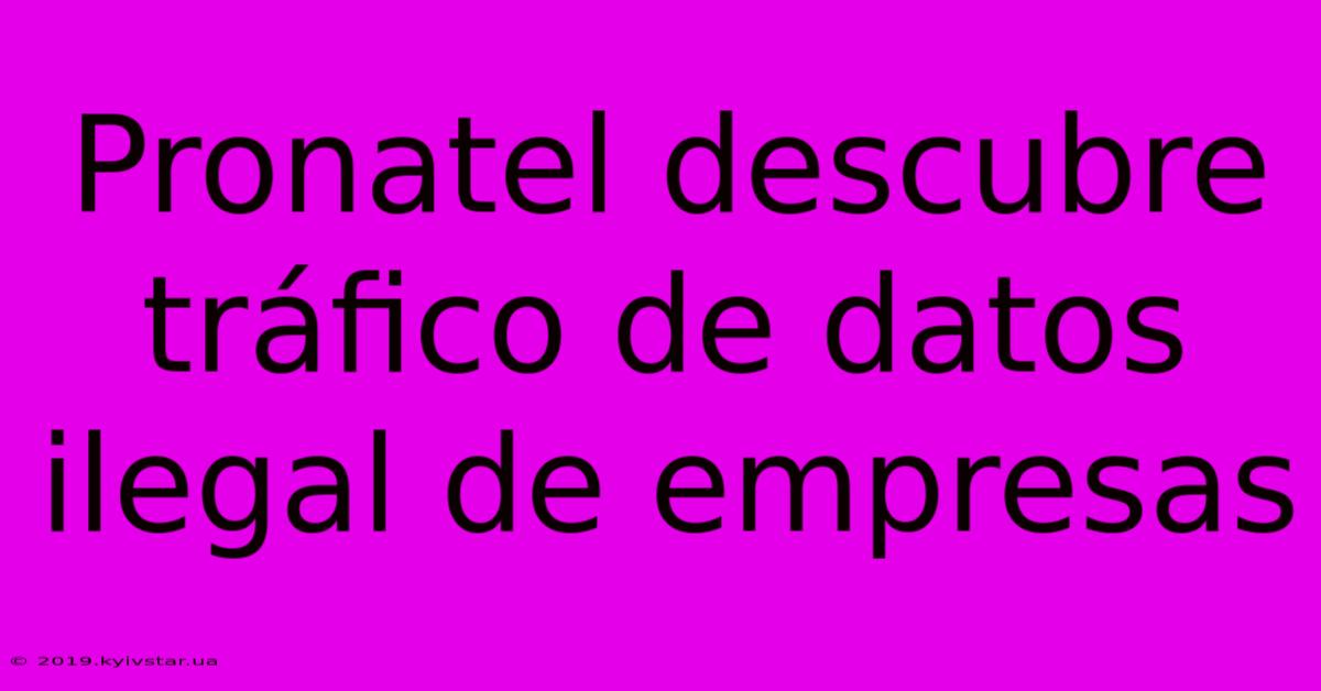 Pronatel Descubre Tráfico De Datos Ilegal De Empresas