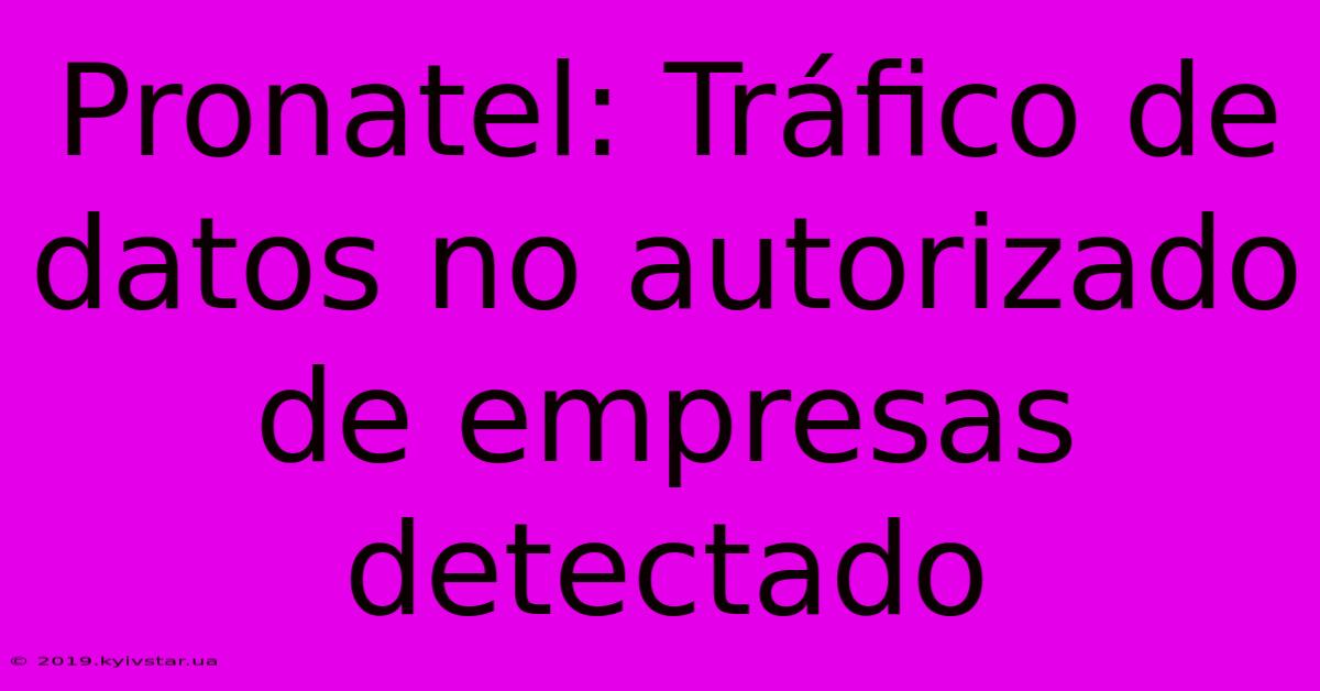 Pronatel: Tráfico De Datos No Autorizado De Empresas Detectado 