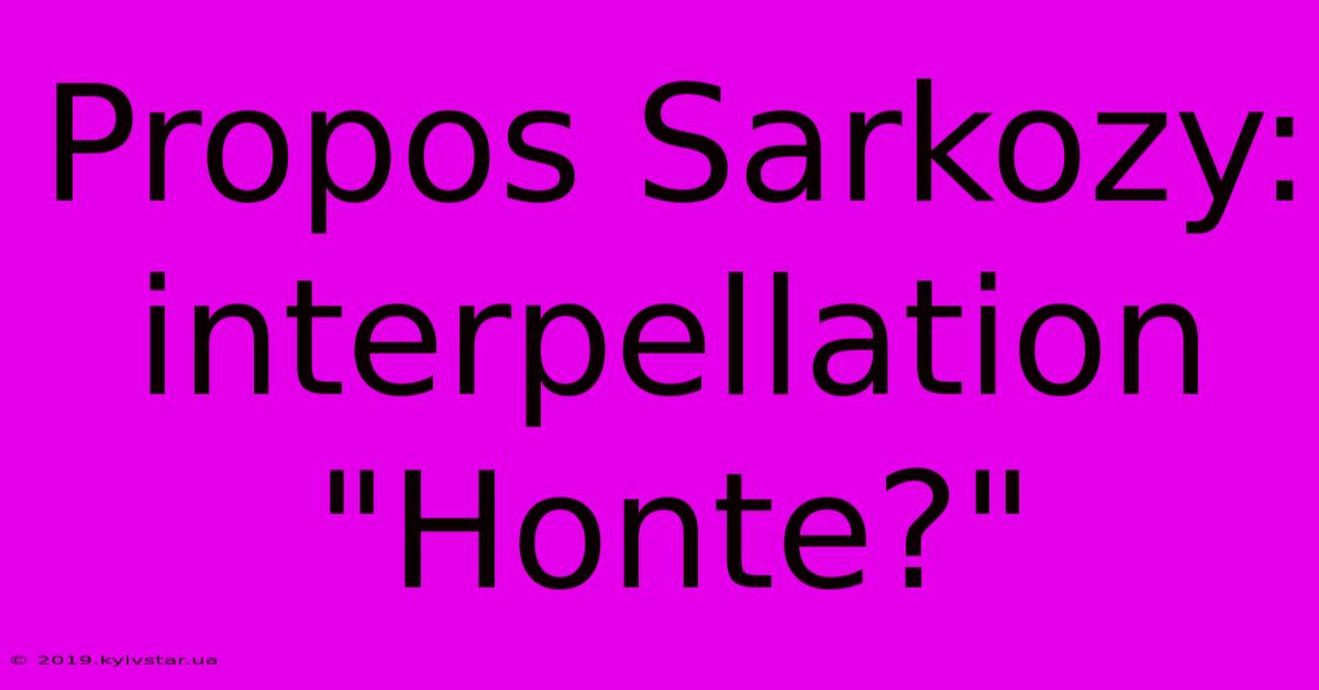 Propos Sarkozy:  Interpellation 