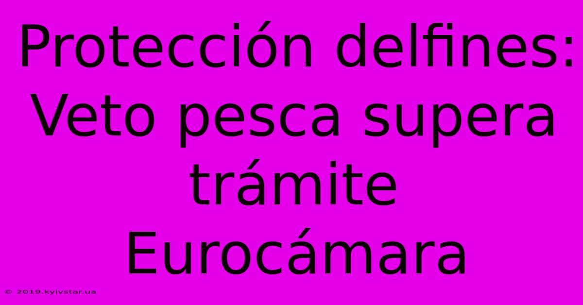 Protección Delfines: Veto Pesca Supera Trámite Eurocámara