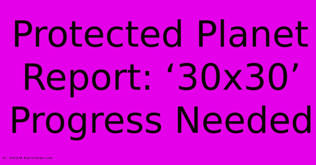 Protected Planet Report: ‘30x30’ Progress Needed 