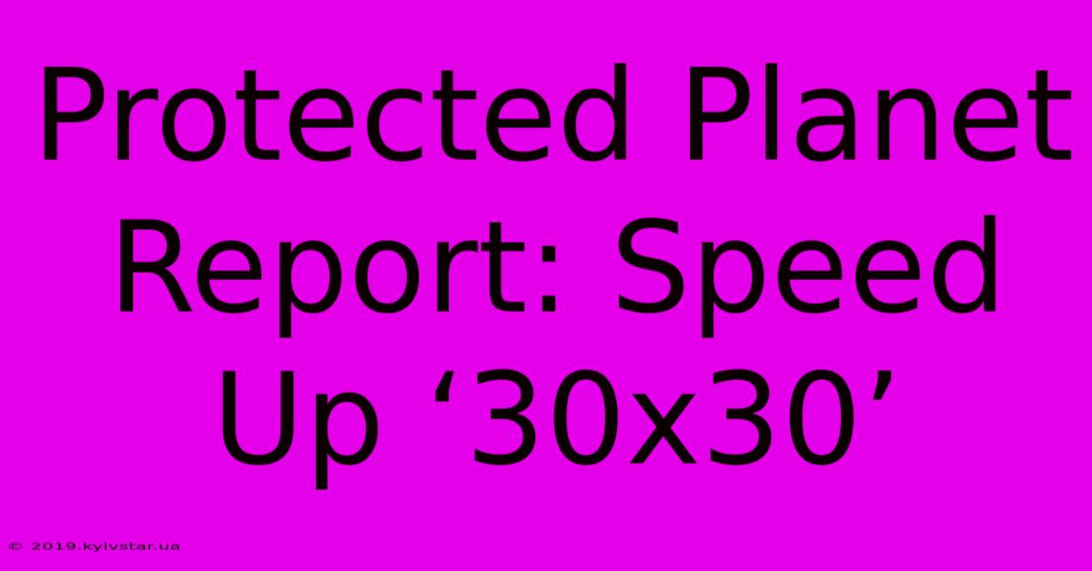 Protected Planet Report: Speed Up ‘30x30’